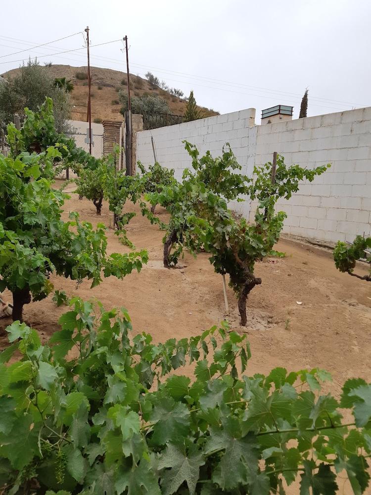 Hotel Meson Del Vino Guadalupe Eksteriør billede