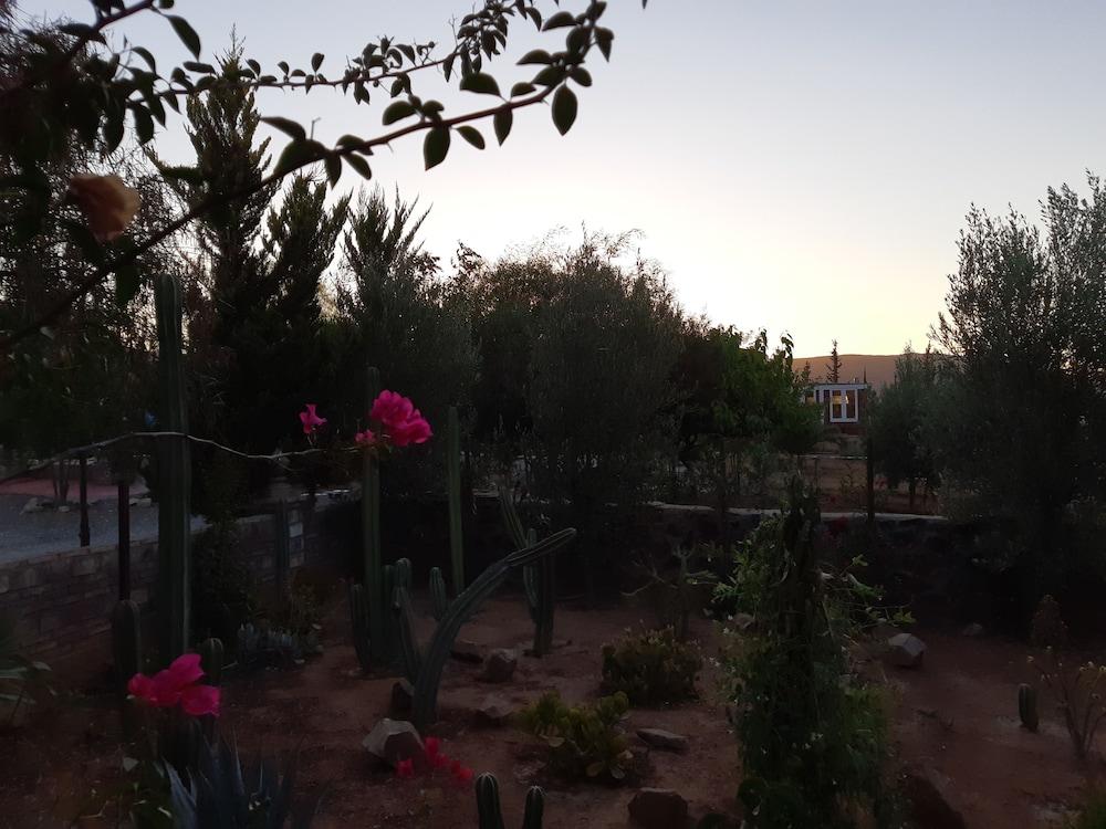 Hotel Meson Del Vino Guadalupe Eksteriør billede