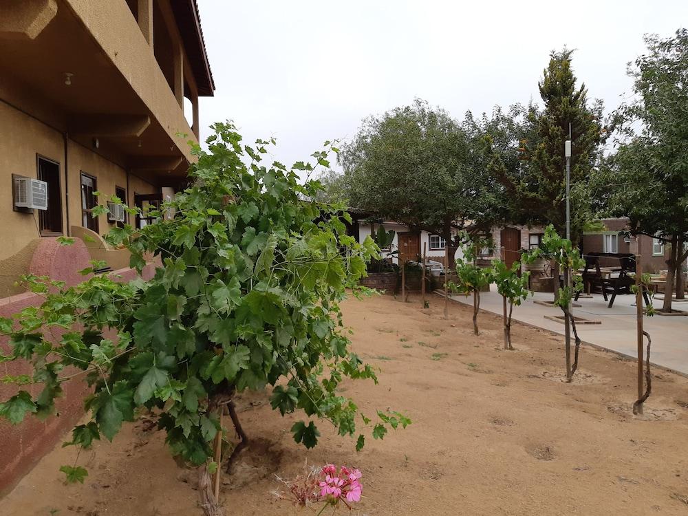 Hotel Meson Del Vino Guadalupe Eksteriør billede