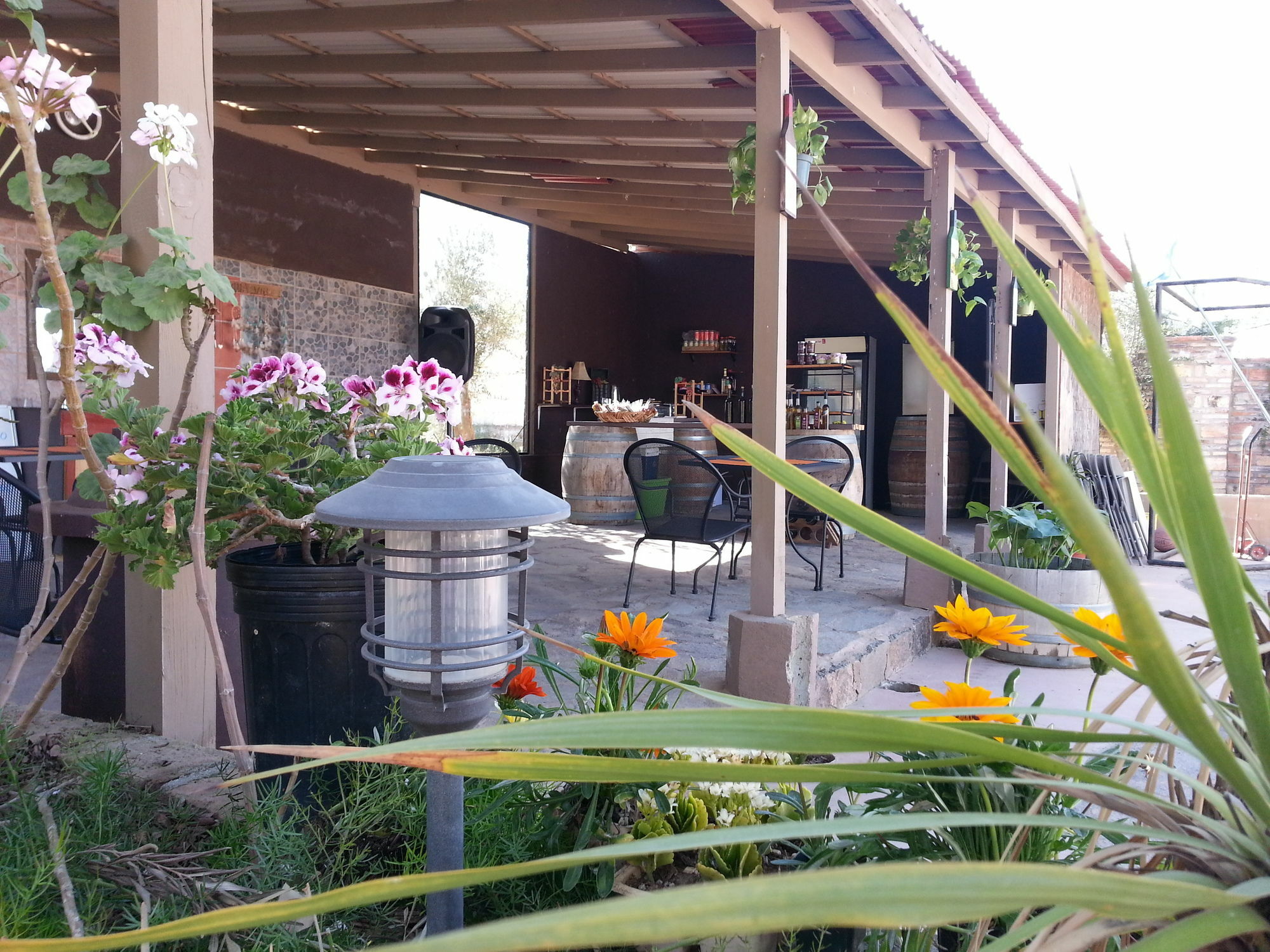 Hotel Meson Del Vino Guadalupe Eksteriør billede