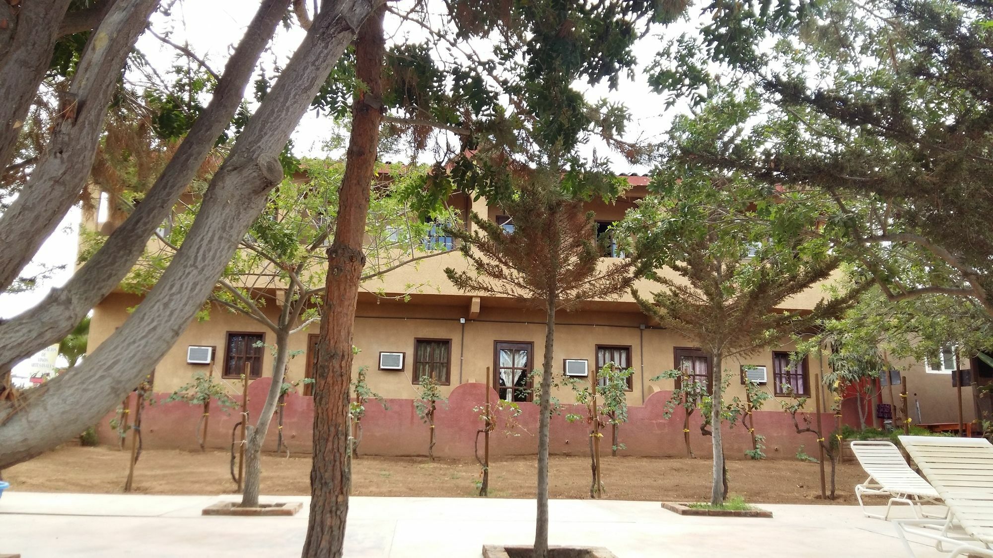 Hotel Meson Del Vino Guadalupe Eksteriør billede