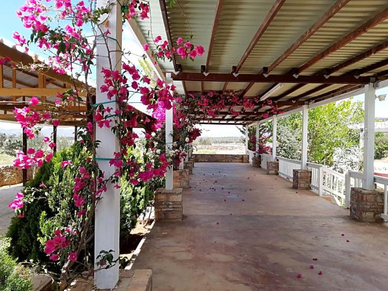 Hotel Meson Del Vino Guadalupe Eksteriør billede