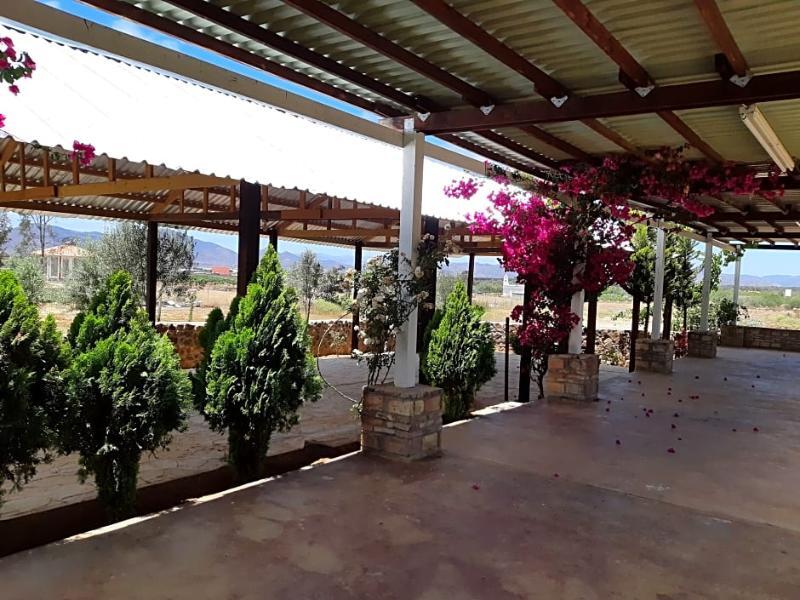 Hotel Meson Del Vino Guadalupe Eksteriør billede